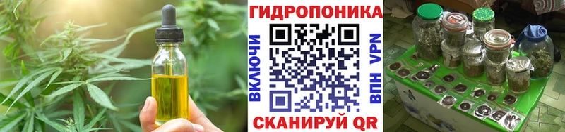 Canna-Cookies конопля  Купить где  Полярный 