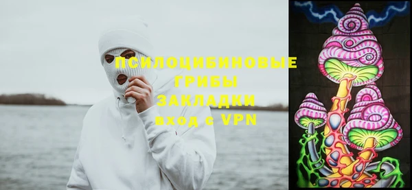 ПСИЛОЦИБИНОВЫЕ ГРИБЫ Зеленокумск