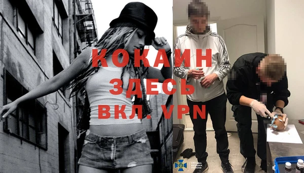 ПСИЛОЦИБИНОВЫЕ ГРИБЫ Зеленокумск