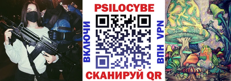 Купить закладки  Полярный  Псилоцибиновые грибы Cubensis 